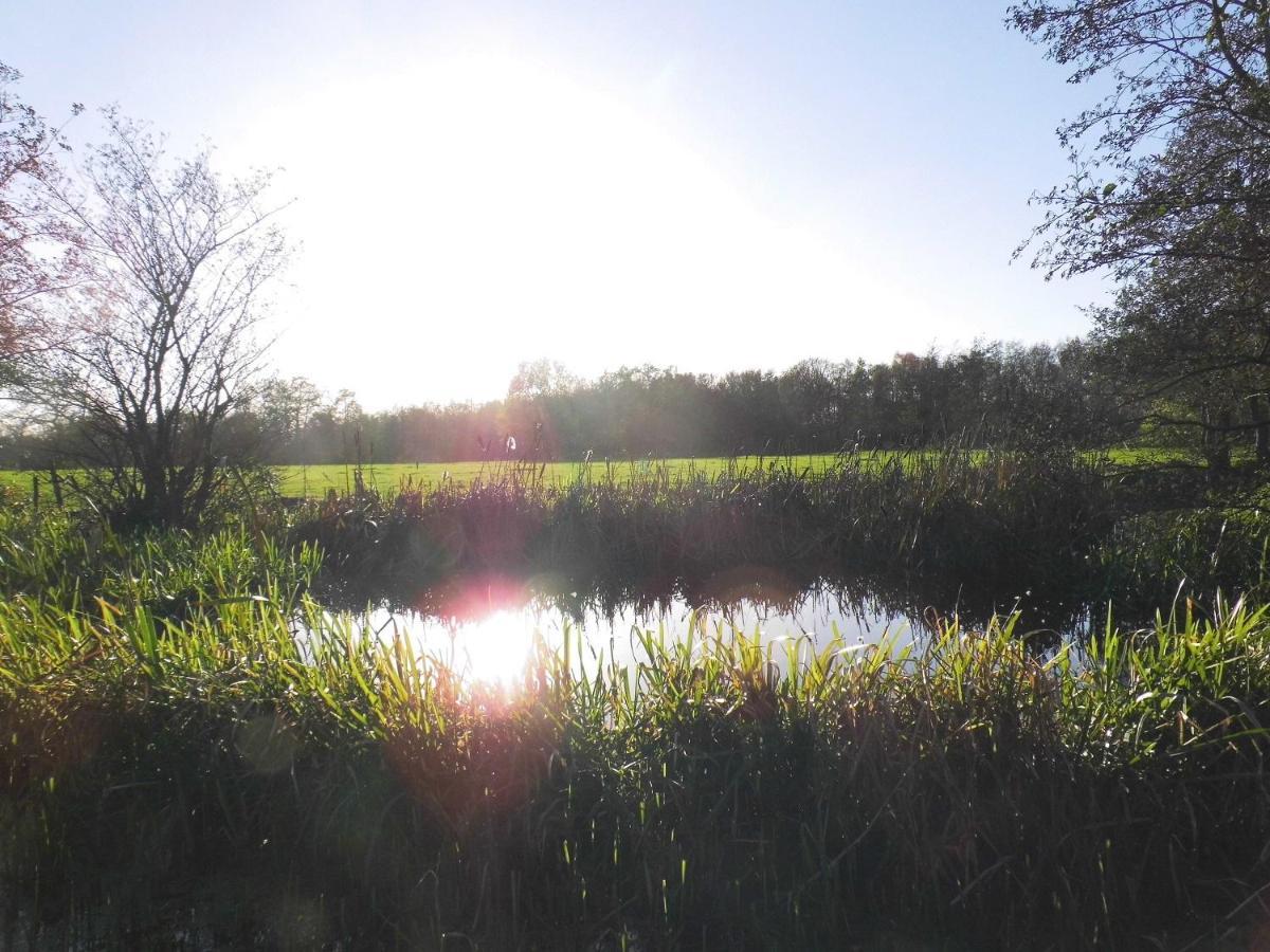 Vakantiehuisjes Landgoed Sonneborghe Kollumerzwaag Exteriör bild