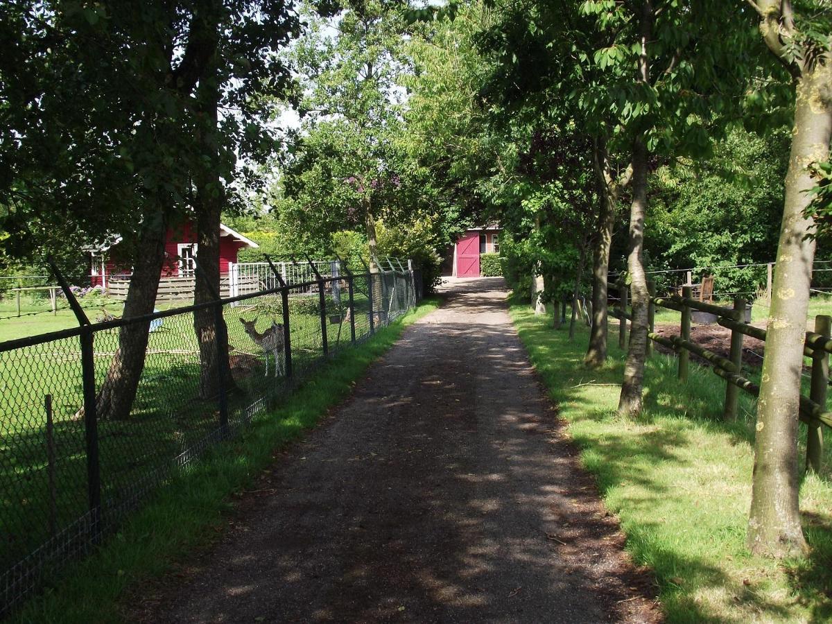 Vakantiehuisjes Landgoed Sonneborghe Kollumerzwaag Exteriör bild