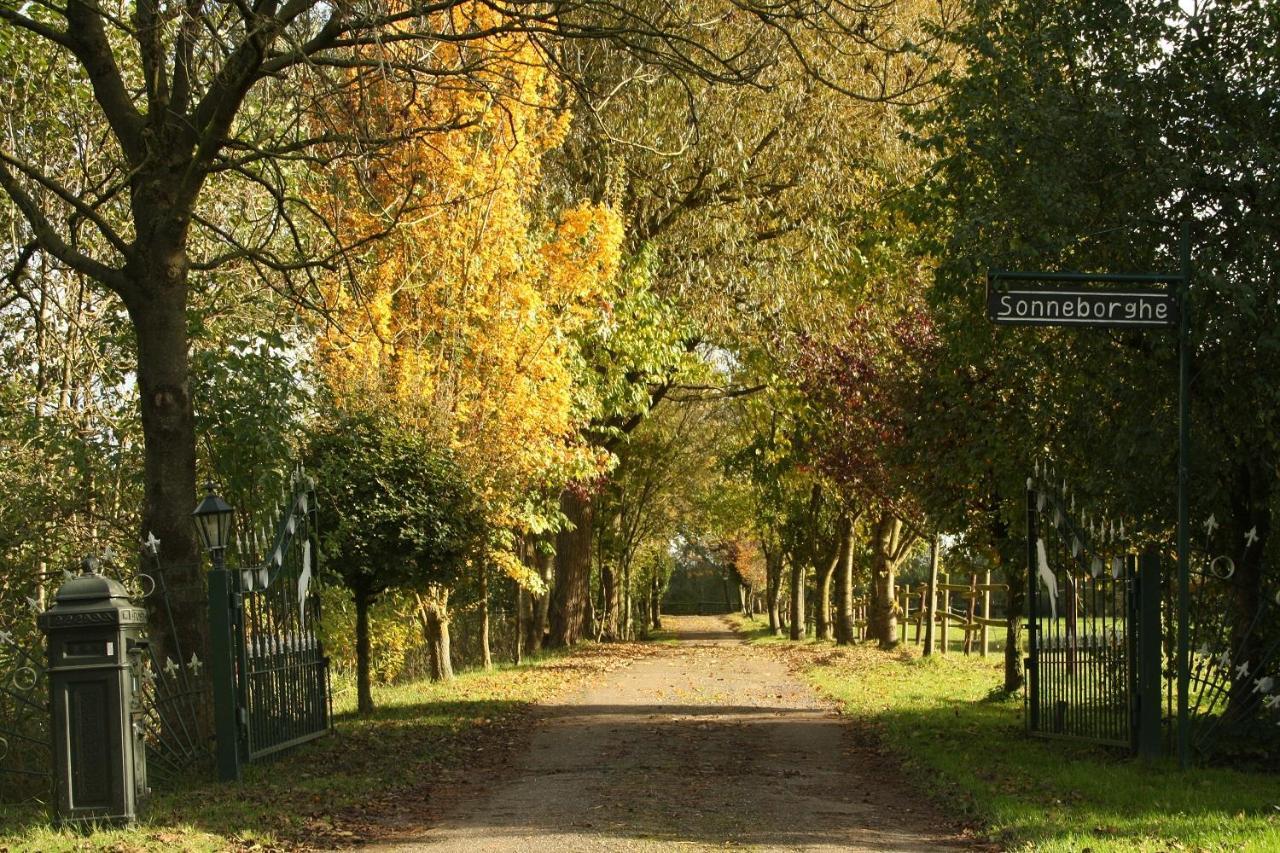 Vakantiehuisjes Landgoed Sonneborghe Kollumerzwaag Exteriör bild