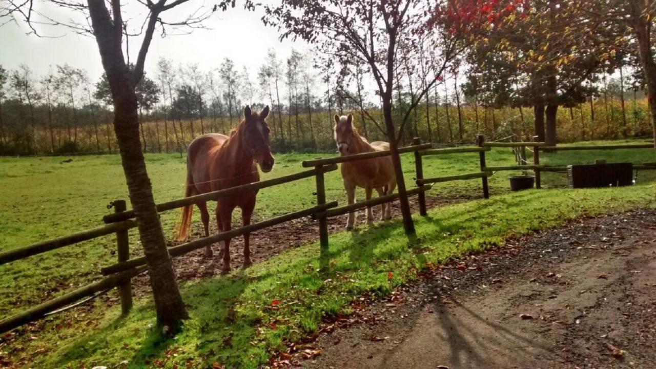 Vakantiehuisjes Landgoed Sonneborghe Kollumerzwaag Exteriör bild