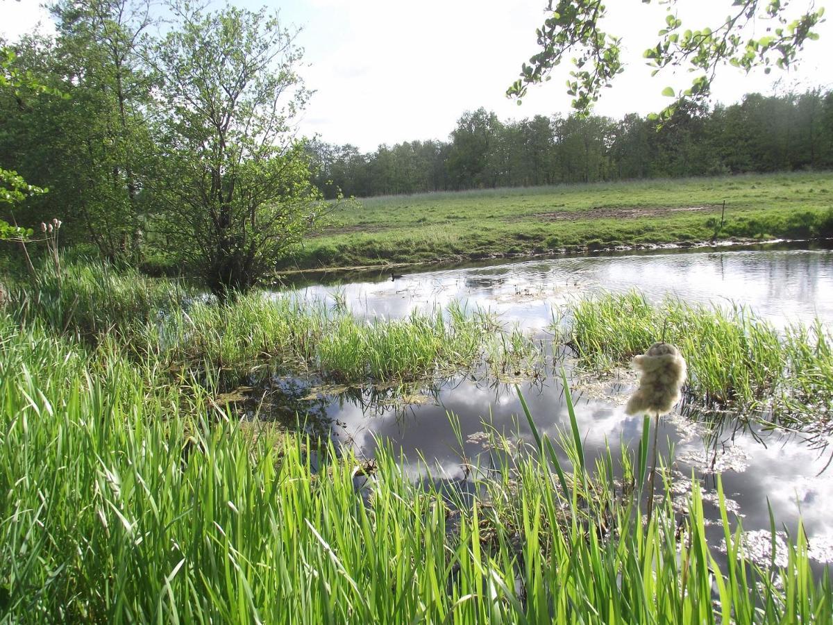 Vakantiehuisjes Landgoed Sonneborghe Kollumerzwaag Exteriör bild