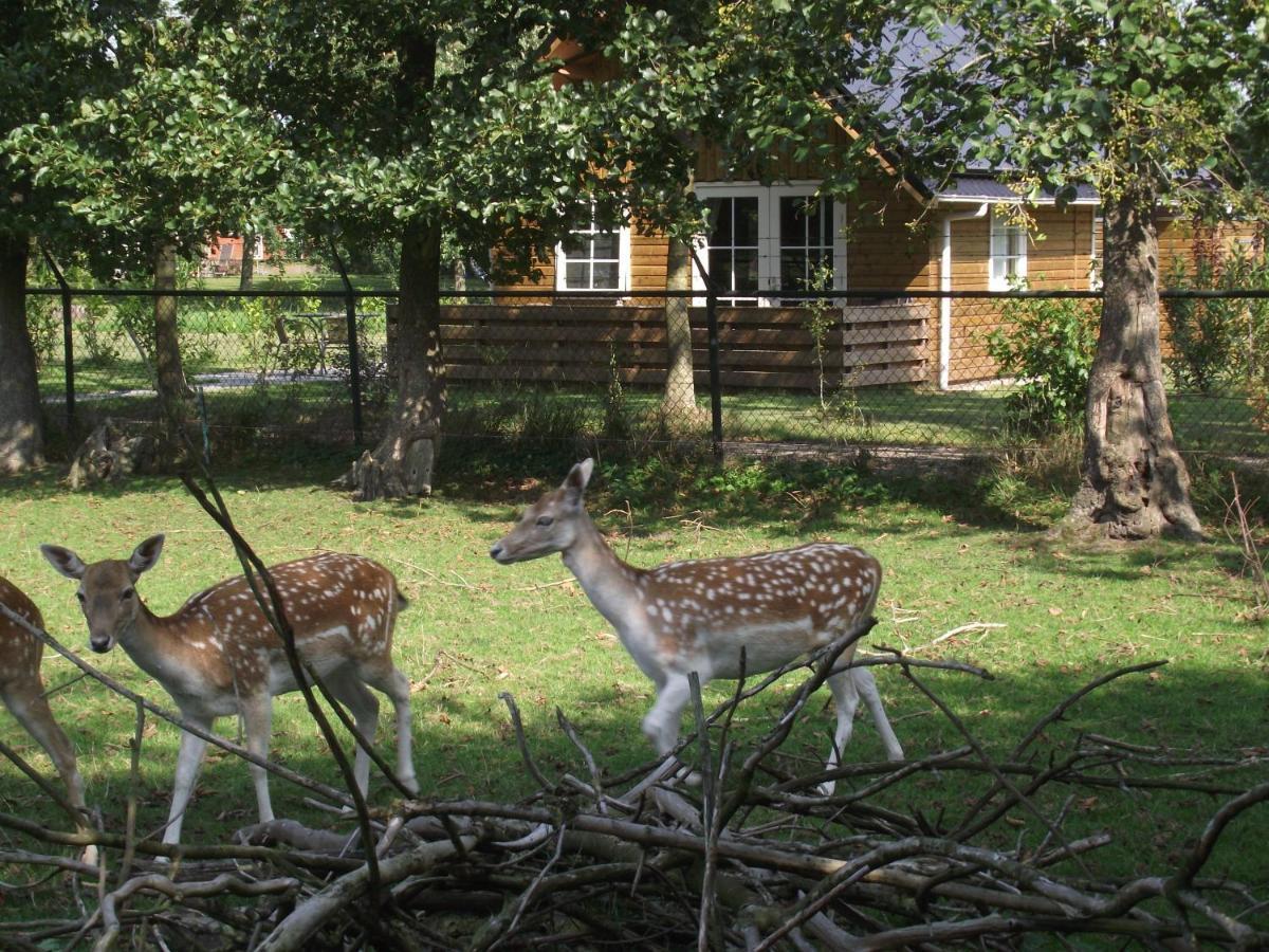 Vakantiehuisjes Landgoed Sonneborghe Kollumerzwaag Exteriör bild